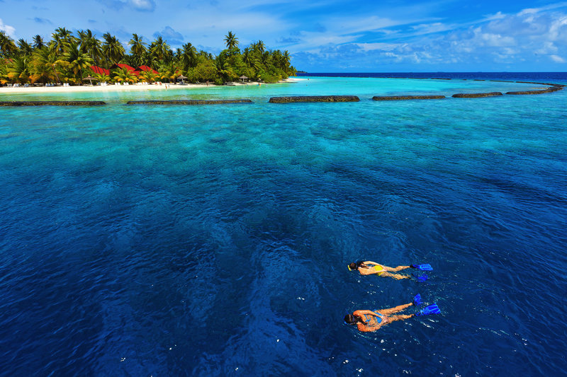 Ferien im Kurumba Maldives 2024/2025 - hier günstig online buchen