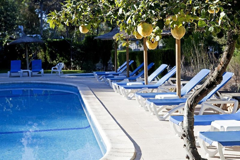 Ferien im Playa Mondrago Hotel Apartments 2024/2025 - hier günstig online buchen