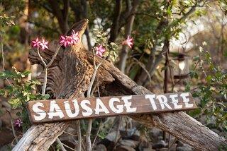 günstige Angebote für Sausage Tree Safari Camp