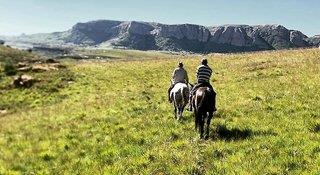 Ferien im Wild Horses Lodge 2024/2025 - hier günstig online buchen