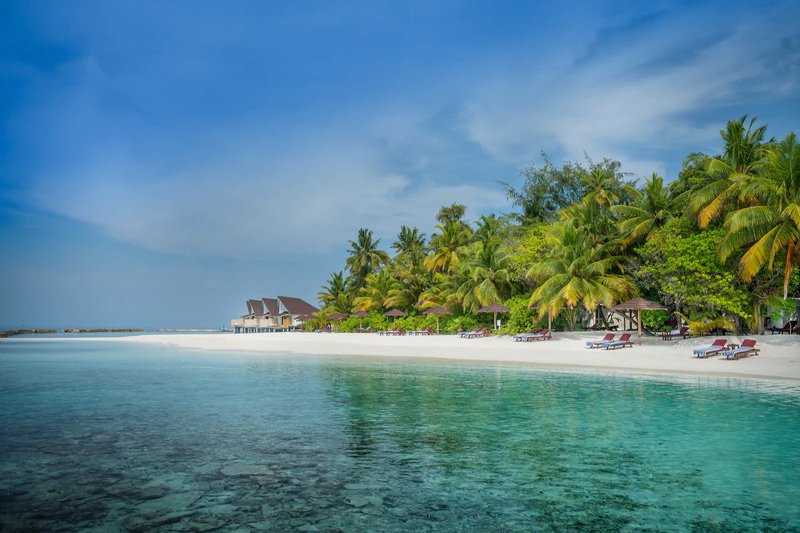 Ferien im Ellaidhoo Maldives by Cinnamon 2024/2025 - hier günstig online buchen