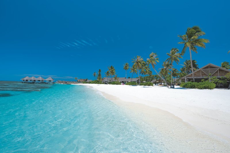 Ferien im Cora Cora Maldives 2024/2025 - hier günstig online buchen